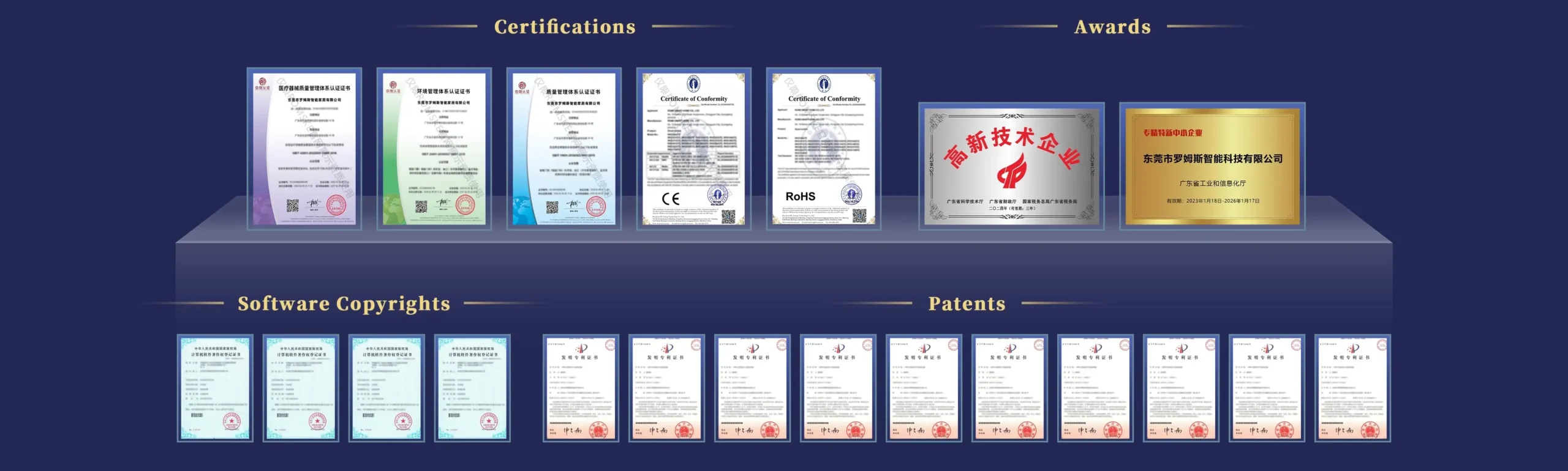 Qualification Display EN